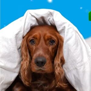 Extra shipping label